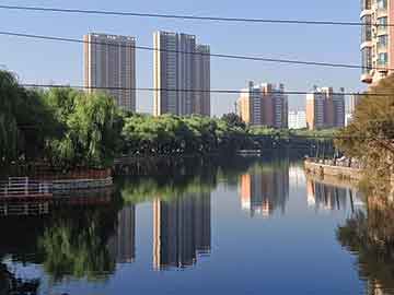 od体育亚洲官网-鹿岛鹿角球迷现场助威，激发球队夺冠斗志