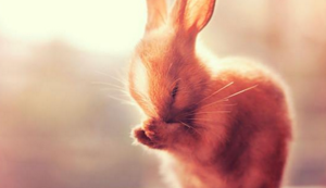 百炼钢铁不畏千难万险乾乾坤