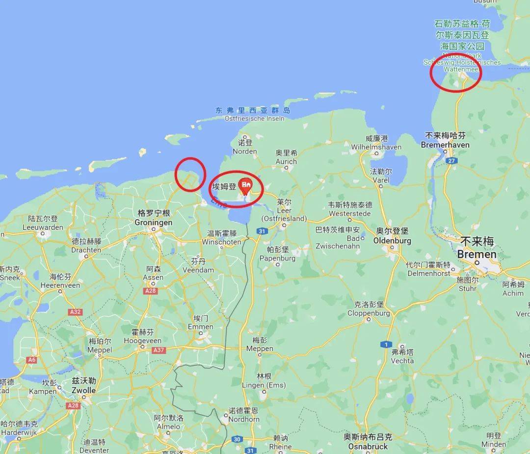 od体育官方入口-荷兰战平挪威,小组出线形势不明朗的简单介绍